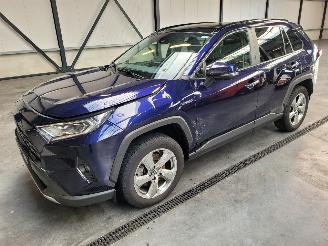 Schade bestelwagen Toyota Rav-4 Hybrid 2.5 131-KW Automaat 2-WD Panoramadak 2019/1